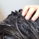 아나젠 | 나푸라 S0 아나젠 샴푸 프리미엄 두피관리 집에서도 쉽게해요