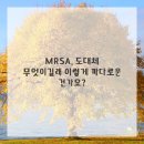모두의요양