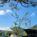 솔밭야영장 이미지