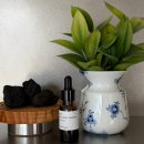 빌라반우 이미지