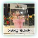 스노우폭스 플라워 올해의 어버이날 카네이션