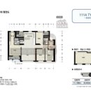 청담111 이미지