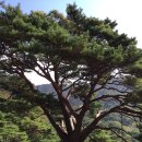 신흥암 - 경상북도 군위군 | 신흥암
