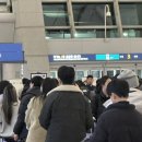 프리미어글로벌 | 도쿄 호텔 추천 : 미쓰이가든 호텔 롯폰기 도쿄 프리미어 슈페리어룸/조식 후기