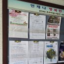 백석유치원 | 일산 정발산 마두 백석 아파트 게시판 광고/집중 공략법
