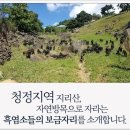 방목내 이미지