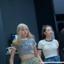 몬스터그룹