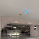 선태권도 | 코엑스 샤브샤브 맛집 노야, 노야 한우 무제한 코스 후기