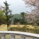 파인하우스 이미지