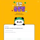 집순이 부수입 만들기: &lt;판다랭크&gt; 판다체험단