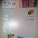 송해면-2 이미지