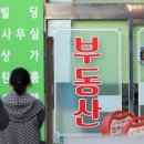 대신부동산 중개사무소 이미지