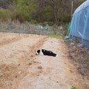 형선농장 이미지