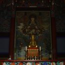전대7리 | 운문사