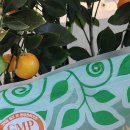 오아스한의원 이미지