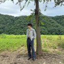 [드라마 감상평/후기] 수사반장 1958 1-2화 (삼국지 최강조합의 &#39;수사 1반&#39;이 모였다!/등장인물 소개)