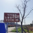 낙지공원 노을길야영장 무인카페 이미지