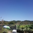 버드리농장 이미지