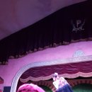 싱싱장구 이미지