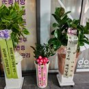 옴요가＊필라테스 네이버블로그
