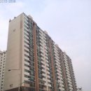 신사동-8 이미지