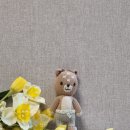 [옥정]나도 1인 유튜버 크리에이터 | 맥세이프 거치대 책상에 딱! 마이마인 촬영용 거치대 후기 크리에이터 필수템 인정