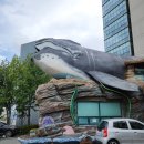 장생포고래박물관 이미지