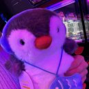 신탄진 오락실 이미지