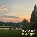 CC71 | 여름엔 역시 3부! 아네스빌CC 야간라운드 후기