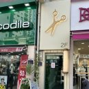 카르테리 두피케어 탈모전문 부평 헤어나올수없어