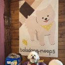 발라당눕스 이미지