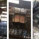 박준호농장 이미지