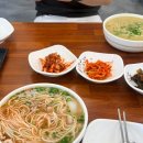 미앤강 | 임신 30주 [제주만삭스냅] - 임산부 제주여행 2박3일/ 우동카덴 / 담소요 / 딱새우회 / 담소요 / 원앤온리