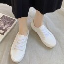 베이직디자인