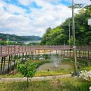 봉선부엉이체험마을 | 서천 봉선 저수지 카페 5월 물버들생태체험학습센터 사랑의 계단