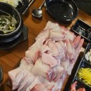 바다회포차 | 218. 오늘의 한 끼 : 안산 월피동 대방어 맛집 바다회포차 후기
