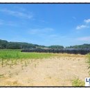 내리농장 이미지