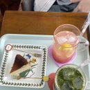 별밭 | 광주 북구 전대후문 말차라떼 수제 치즈케이크 맛집 북카페 별밭 방문 후기