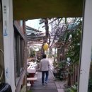 보성헤어 이미지