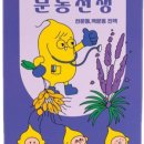 토이헨젤 이미지