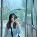 패러먼츠