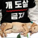 광화문농장 동아일보
