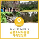 트래킹 여행, 울진 금강소나무숲길 가족탐방로