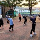 신바람건강체조 이미지