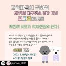 케이잡화점 이미지