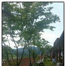 옥정호 산호수 펜션 이미지