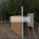 [전남 화순] 화순 글램핑이 가능한 독채 감성숙소, 자연의미학 401호 내돈내산 후기