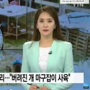 그늘막74 이미지