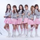 픽미픽미 이미지