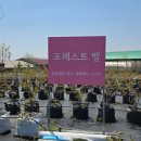 지산농장2 이미지